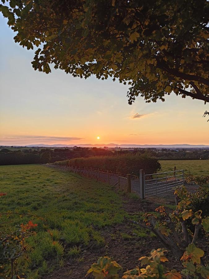 Branch Cottage Limavady Eksteriør billede